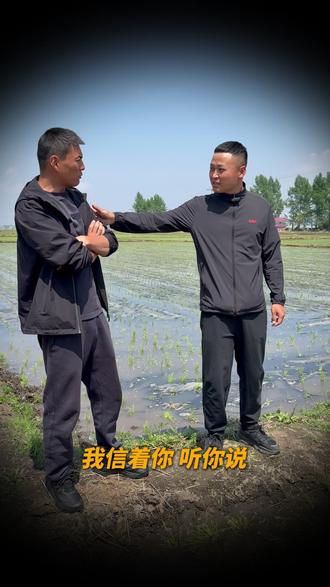 水稻覆膜技术到底好不好 #新农人 #五常大米 #水稻覆膜