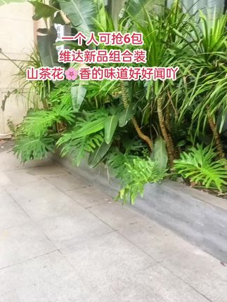 维达抽纸的新品组合装,这个价到手6大包,山茶花香的味道好好闻吖,快薅#超便宜超划算 #维达 #抽纸 #生活用纸 #纸巾