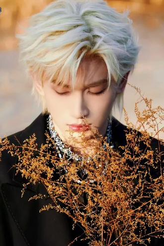 专辑余录#语录 #新歌#Pandora