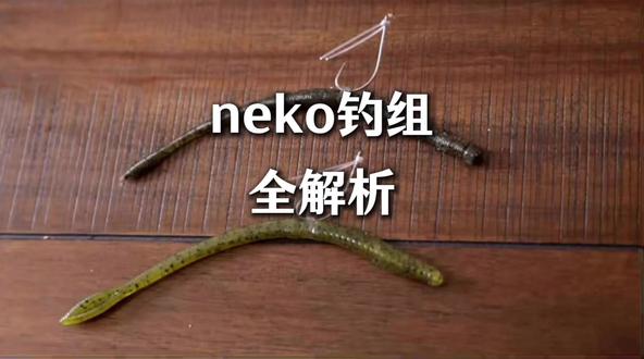 路亚neko钓组全解析路亚钓组路亚软饵路亚野钓路亚鲈鱼鲈钓 路亚必备Neko钓组全解析,装备搭配,操作技巧一个视频讲明白。neko钓组是融合了wacky与摇摆钓组的有点的精细钓法。他在水底与飘落时的冬天表现,对鲈鱼鳜鱼鲶鱼包括黑鱼非常具有诱惑力的。那么在饵的选择上通常选择面条虫或者叉尾直尾使用,虾型饵也是非常好的选择。这个钓组还有一个特点就是会在饵的头部位置加一颗0.8到2.5g的插铅。挂钩方法就是钩尖朝向尾部方向,而且我建议钩尖不需要完全露出来,手指按上去有尖刺感就够了,这样能提高防挂性,竿子建议选择7英尺以上的ML或者M硬度的快调或超快调直柄竿,钓线选择6到10磅纯碳或者搭配0.6到1.0的PE线使用。钩子呢个有专用的neko钩,使用wacky钩也是可以。这个钓组的操作手法就是碎抖竿尖即可,记得动作不要太大。让饵产生一种痉挛的颤动为最佳。刺鱼是不要暴力刺鱼,收紧虚线斜刺带住竿子即可。那么好以上就是本期的内容喜欢的朋友请您点赞收藏我们下期再见。#neko钓组 #路亚钓组 #鲈钓 #路亚钓鱼 #路亚鲈鱼