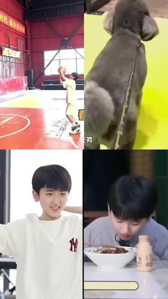 vlog第一次剪vlog,剪的不好,可以指点一下😜 #热门 #左奇函 #vlog日常 #不养狗不知道养狗的乐趣 #上热门🔥