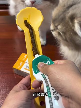 猫咪每天都在舔毛.记得定期给猫咪喂点化毛膏#萌宠好物#化毛膏#新手养猫