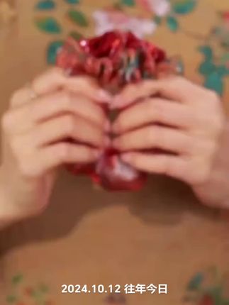 #发饰头饰真的很加分 #头发这样盘显的优雅又漂亮 #双花发圈 #大肠发圈