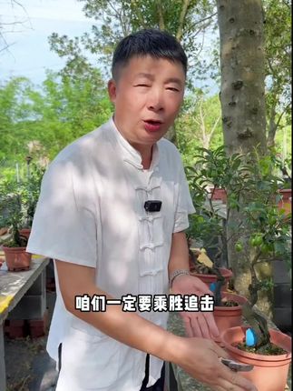 【动力肥】丰亩家水溶肥魔能动力矿源黄腐酸钾有机碳微生物菌剂肥料