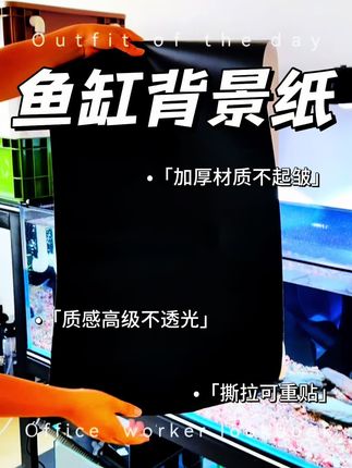 鱼缸好不好看,差的就是一张背景纸。黑色背景更能模拟深海幽暗氛围,有助鱼儿发色。#鱼缸背景纸 #鱼缸黑背景 #背景纸 #鱼缸造景