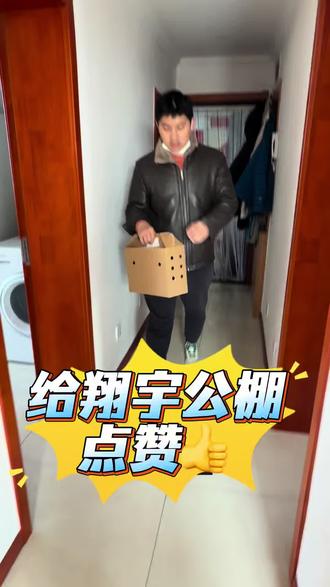 为翔宇公棚点赞👍#佛科克 #赛鸽比赛 #这是个真实的事情 #鸽子