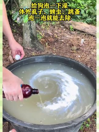 狗狗体外各种寄生虫 如蜱虫 虱子 跳蚤等十几种寄生虫,泡一泡都可以去除得干干净净#狗狗驱虫大作战 #养狗经验分享 #养狗小知识 #萌宠好物