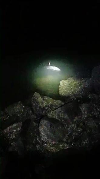 我旁边人钓的 金目鲈36斤 真馋人