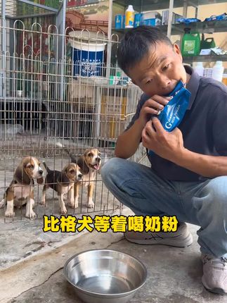 #羊奶粉#狗狗#热门