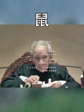 #72年的鼠 #84年的鼠 #96年的鼠 #生肖鼠 #属鼠