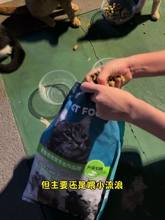 推荐给多宠物家庭或者关爱流浪猫的朋友们,快给猫咪试一试#养猫新手 #猫粮 #流浪猫 #流浪猫救助 #萌宠好物