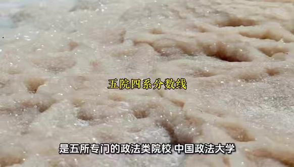 五院四系录取分数线:中国政法、华政、西政、中南财、西法大对比 #湖北高考 @DOU+小助手