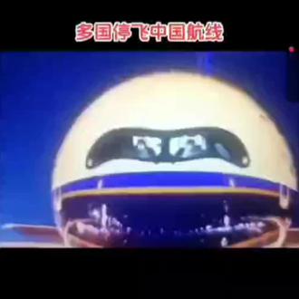 多国停飞航线!