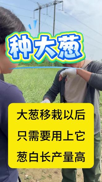 大葱移栽以后 只需要用上它 葱白长产量高 #农业 #农村 #农民 #三农 #水稻 #油菜 #小麦 #玉米 #种粮 #种地 #种田 #稻谷 #粮食 #种植 #农资 #农技 #春耕 #肥料 #化肥 #新农人 #复合肥 #油菜种植 #水稻种植 #水稻种子 #小麦种植 #玉米种植 #农业知识 #农业种植 #服务三农 #种植技术 #农业技术 #三农种植 #农民不易 #病虫害防治 #种植小技巧 #农业技术推广 #新农人计划2026 #农民种地不容易 #春耕备耕进行中 #传播农业小知识 #分享农业知识 #农技知识分享 #服务三农支持三农 #增产增收才是硬道理 #中国农民丰收节 #无限回购的宝藏单品 #分享农业知识帮农民增产增收 #春耕#农业 #农村 #农民 #三农 #水稻 #油菜 #小麦 #玉米 #种粮 #种地 #种田 #稻谷 #粮食 #种植 #农资 #农技 #春耕 #肥料 #化肥 #新农人 #复合肥 #油菜种植 #水稻种植 #水稻种子 #小麦种植 #玉米种植 #农业知识 #农业种植 #服务三农 #种植技术 #农业技术 #三农种植 #农民不易 #病虫害防治 #种植小技巧 #农业技术推广 #新农人计划2026 #农民种地不容易 #春耕备