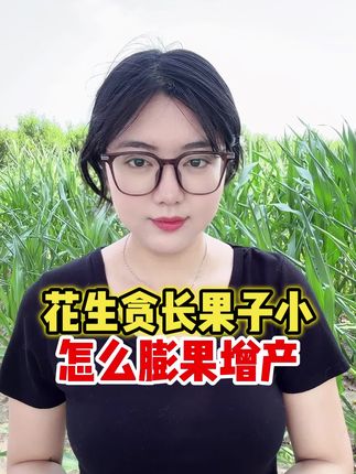 花生贪长果子小,怎么膨果增产呢?#花生高产配方 #农业种植 #花生开花 #花生膨大剂 #根茎膨大