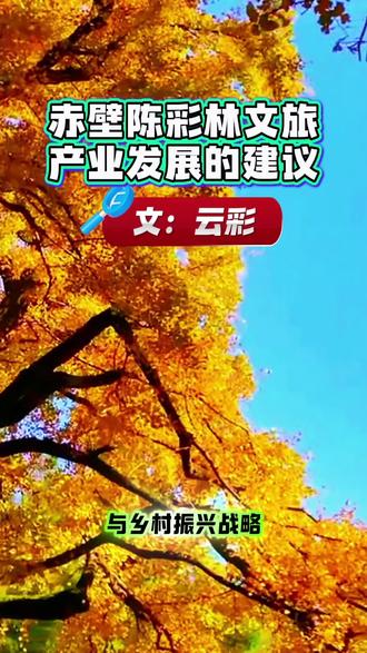 #《赤壁陈彩林文旅产业发展的建议》文:云彩#在“双碳”目标与乡村振兴战略的协同推进下,随阳陈彩林作为赤壁千年文脉的传承载体与山水灵韵的生态宝库,亟需突破传统景区建设的路径依赖,以“低干预开发、高价值融合”为核心理念,构建“生态保护-文化传承-产业振兴”三位一体的发展模式。通过实施生态修复筑基工程,重塑“山水林田湖草”生命共同体;以文化活化铸魂行动,激活历史记忆中的文化基因;借产业联动赋能策略,构建“文旅+农业”“文旅+康养”“文旅+科技”的复合型产业生态圈。最终打造成为兼具历史底蕴与现代体验的复合型旅游目的地,形成“绿水青山就是金山银山”的实践标杆,为长江经济带文旅产业高质量发展提供可复制、可推广的“赤壁经验”,推动县域经济绿色转型与乡村振兴同频共振。#陈彩林银杏树位于湖北赤壁市官塘驿镇老虎岩村,现存三棵千年古银杏,树高均超30米,树干需四人合围,树龄逾1120年,属宋代遗存。其树冠直径达10余米,枝繁叶茂,秋季金黄叶片与村落、山野构成绝美画卷,被誉为“湖北最震撼的秋日禅境”。#陈彩林 #寻美赤壁#寻美湖北@比格鹿🦌