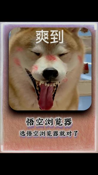 选悟空浏览器就对了 #悟空浏览器