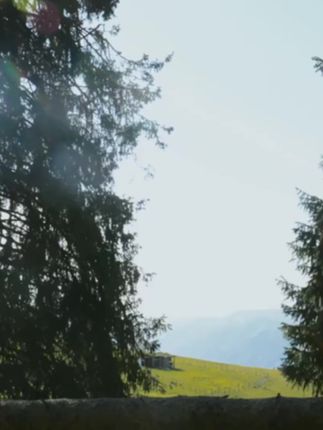 沙漠徒步不怕水浸,这双登山鞋让你轻松返航! 这款鞋子真的太好穿了!而且现在有运费险活动,喜欢的朋友赶紧冲吧!!#户外穿搭 #户外 #徒步 #好鞋推荐 #IODSON官方旗舰店