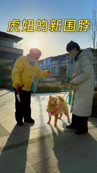 是谁戴上了尼克围脖🧣#钩织小物件#疯狂动物城一#桃李春风的退休生活