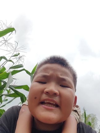 兄弟你知道我有多累吗