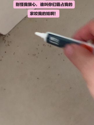 每个角落挤一两滴,明天就看不到蚂蚁队伍了👍#昆虫 #蚂蚁