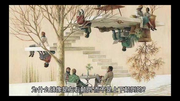 为什么镜像是左右颠倒,而不是上下颠倒的?