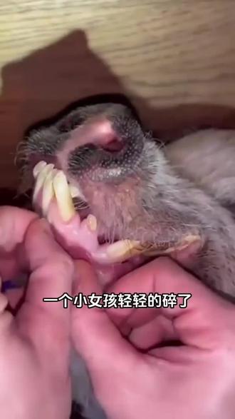 #青年创作者扶持计划 四种常见毛病,中翳教你调 #抖出健康知识宝藏 #中医 #涨知识医疗科普 #我的年度健康盘点