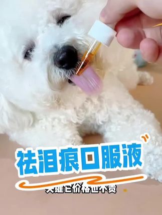 家里狗狗泪痕重分泌物多,那就坚持每天给他吃这个泪痕液,很快就能看到效果啦#萌宠好物 #泪痕 #去泪痕 #萌宠推荐官