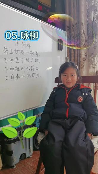 05.#咏柳#贺知章#小学古诗 #每天学习一点点