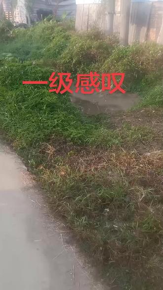 有没有一级农民,#上热门🔥