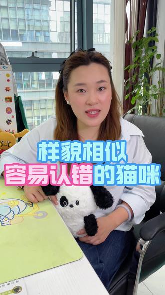那些长得太像容易被搞混的猫咪,你知道吗 #宠物 #猫咪 #养猫咪