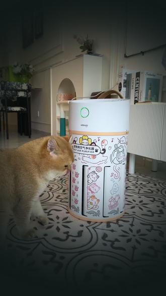 猫党偷偷藏的宝藏好物终于被我挖到#猫毛解决方案 #空气净化器吸猫毛 #空气净化器 #养宠人必备 #夏天开始的瞬间