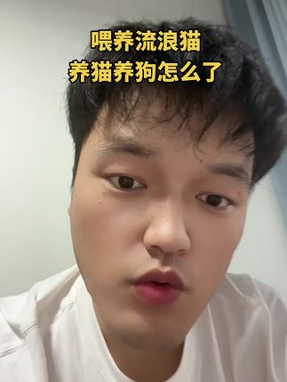 喂猫怎么了#喂养流浪猫 #喂猫乐趣