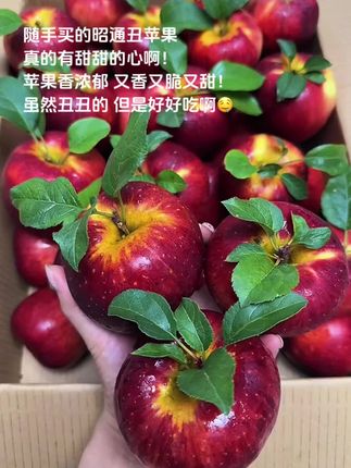 #丑苹果 一年就吃这一季的丑苹果,真的越丑越好吃,又脆又甜细腻无渣!超级超级好吃!快给家人也尝尝吧! #应季水果#汁水饱满#冰糖心苹果 #脆甜多汁