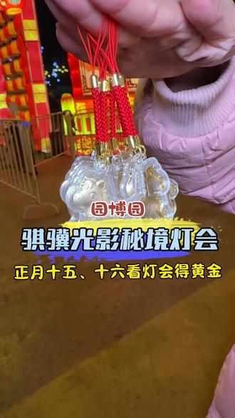 骐骥光影灯会,正月十五、十六。看灯会有机会得金片。#人山人海太热闹了 #人气爆棚 #元宵节逛灯会 #园博园游玩攻略 #东营