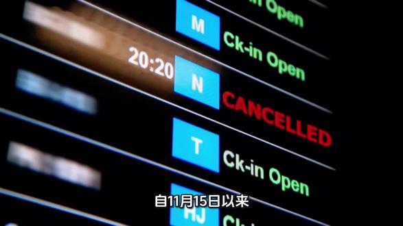 49.1万张飞日本机票被取消