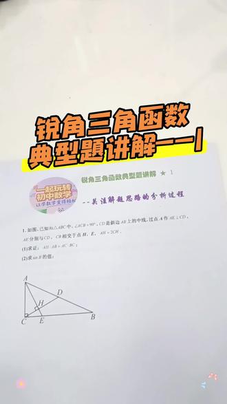 锐角三角函数典型题讲解☞1
#初中数学 #九年级数学 #锐角三角函数#解题思路