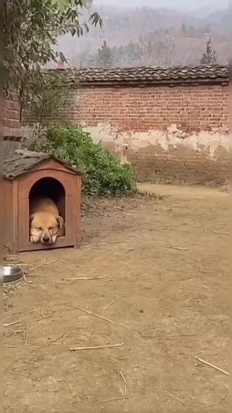 网络虚拟剪辑,安全无小事。