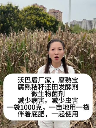沃巴盾厂家,腐熟宝,腐熟秸秆还田发酵剂,微生物菌剂,减少病害。减少虫害,一袋1000克,一亩地用一袋,伴着底肥,一起使用#腐熟宝秸秆还田发酵剂#沃巴盾腐熟宝秸秆还田发酵剂#沃巴盾腐熟宝秸秆还田#腐熟宝秸秆还田#秸秆还田发酵剂