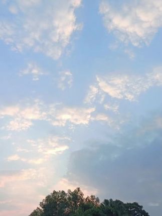 手表带牛皮鳄鱼纹真皮男女士适配 #手表带 #表带 #真皮表带 #男士专用 #手表带真皮