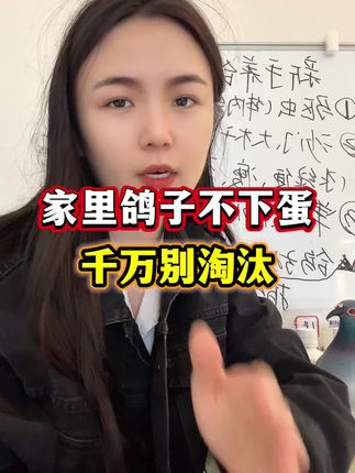 #养鸽人 #鸽子养殖技术 #农村养鸽人 #信鸽赛鸽 #肉鸽养殖