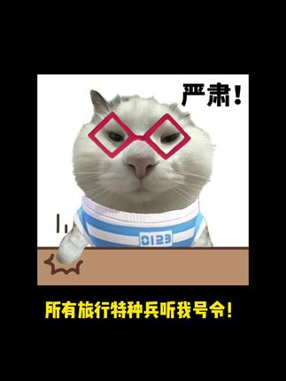 特种兵实测下来真的很省钱~ #携程火车票 #携程靠谱每一程  #省钱攻略 #薅羊毛的快乐 #酒店优惠