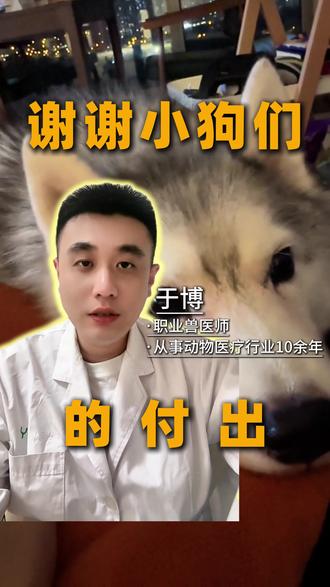 谢谢小狗们的付出。#女生必看 #内容过于真实 #铲屎官必看 #宠物健康 #小狗