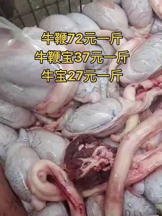 牛鞭72元一斤，50斤一件
牛鞭宝37元一斤，50斤一件
牛宝27元一斤，50斤一件#牛鞭宝 #牛羊肉批发 #牛副产品