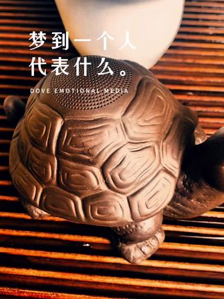 🌙心理学说梦里的人,是心底未忘的惦念。沏茶时见这紫砂龟茶漏,茶汤滤过,思念也随茶香漫开,温柔又治愈。 #紫砂茶漏 #茶系慢生活 #治愈小物