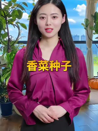 #香菜种子蔬菜种子#香菜种植#在家种菜#超便宜超划算