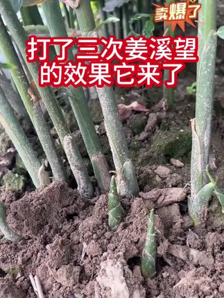 #太溪邦