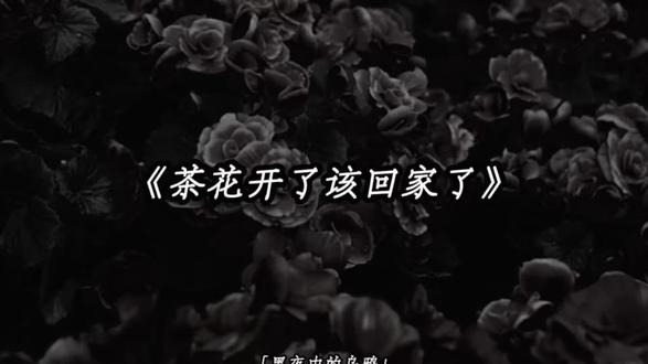 “家乡没有春夏秋 只有冬”#茶花开了该回家了