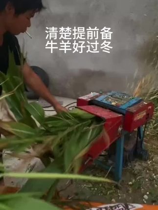 #养殖