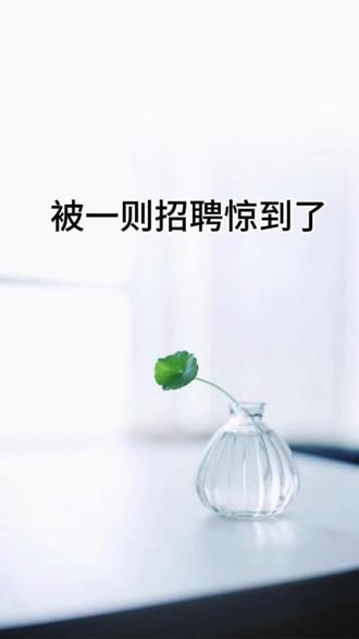 被一则招聘惊到了,这年头做牛马不容易。#boss招聘 #招聘要求 #真实生活分享官 #找工作不容易